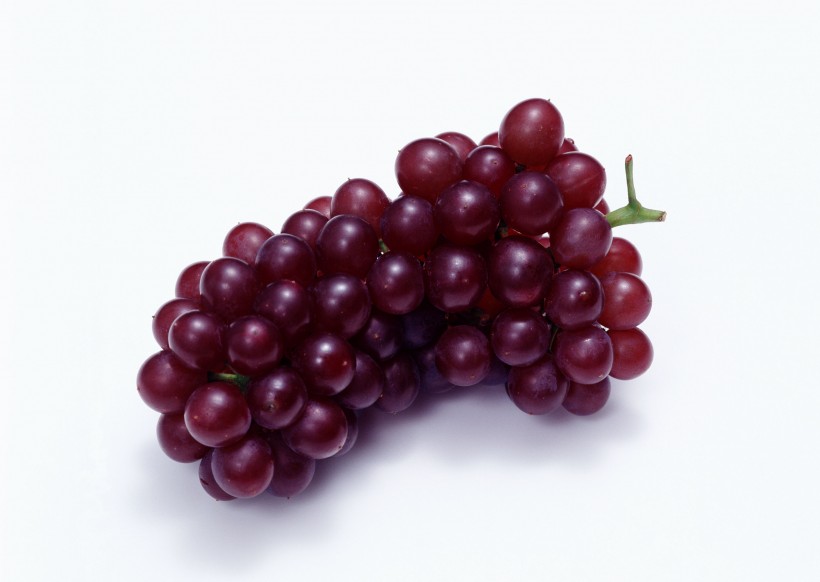 成熟的葡萄图片 (25张)