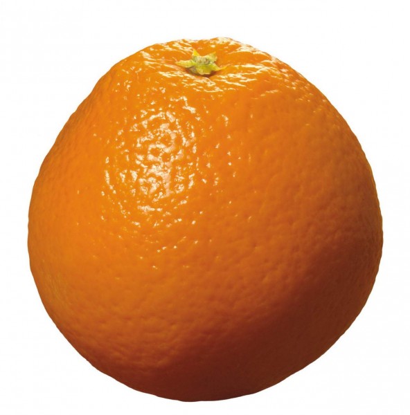 香橙图片(21张)