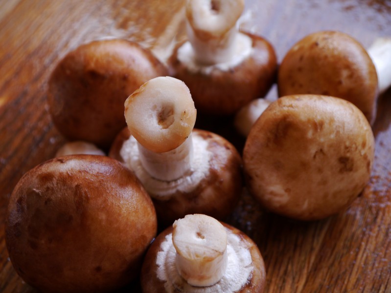 新鲜的香菇图片(14张)