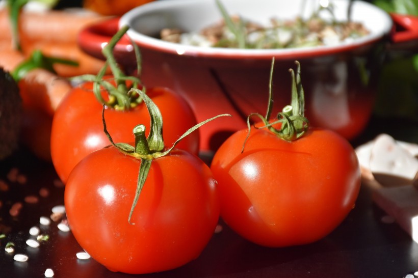 鲜红的西红柿图片(14张)
