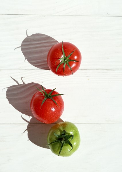 红红的小西红柿图片(15张)
