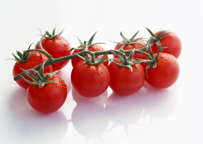 红红的小西红柿图片(15张)