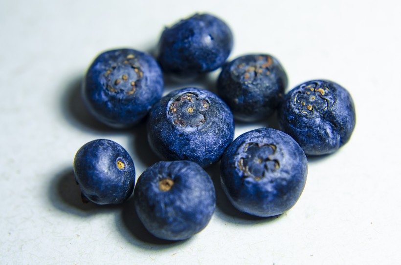 小巧的蓝莓图片(15张)