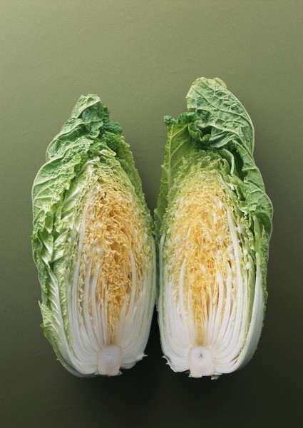 新鲜白菜图片(3张)