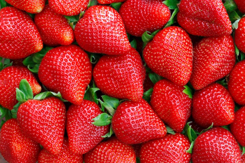 新鲜草莓图片(8张)