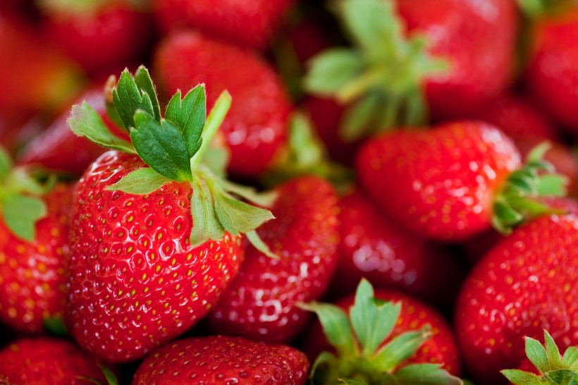 新鲜的草莓蓝莓桑葚图片(10张)