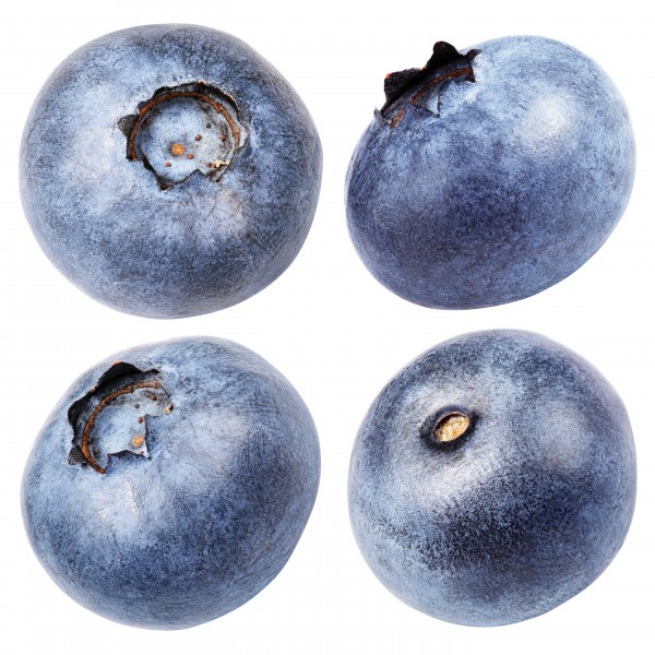 新鲜欲滴的蓝莓图片(14张)