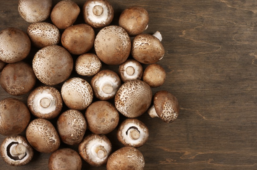 新鲜的蘑菇图片(10张)