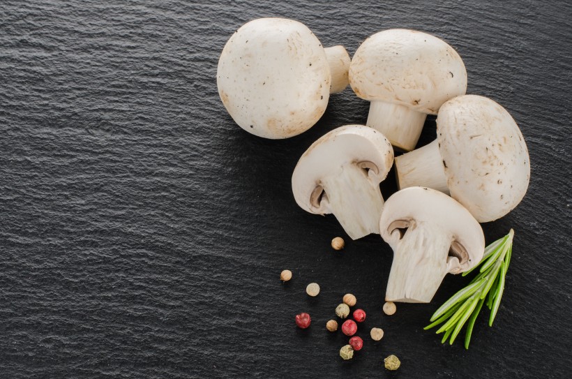 新鲜的蘑菇图片(9张)