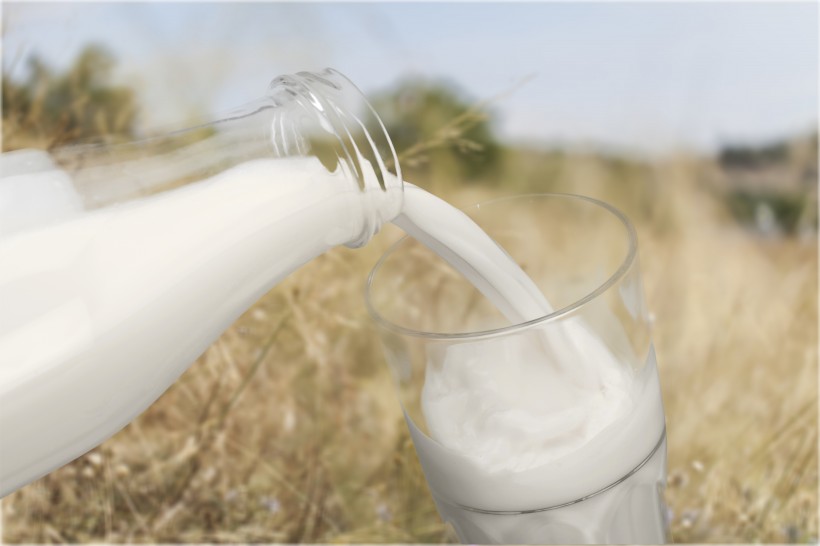 新鲜的牛奶与户外景色图片(13张)