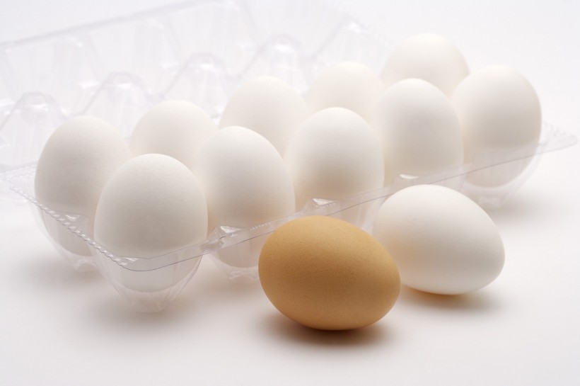 新鲜鸡蛋图片(12张)