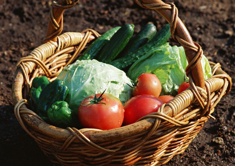 新鲜的蔬菜篮子图片(14张)