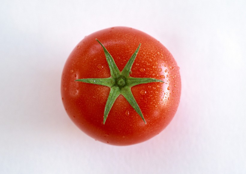 新鲜西红柿图片(25张)
