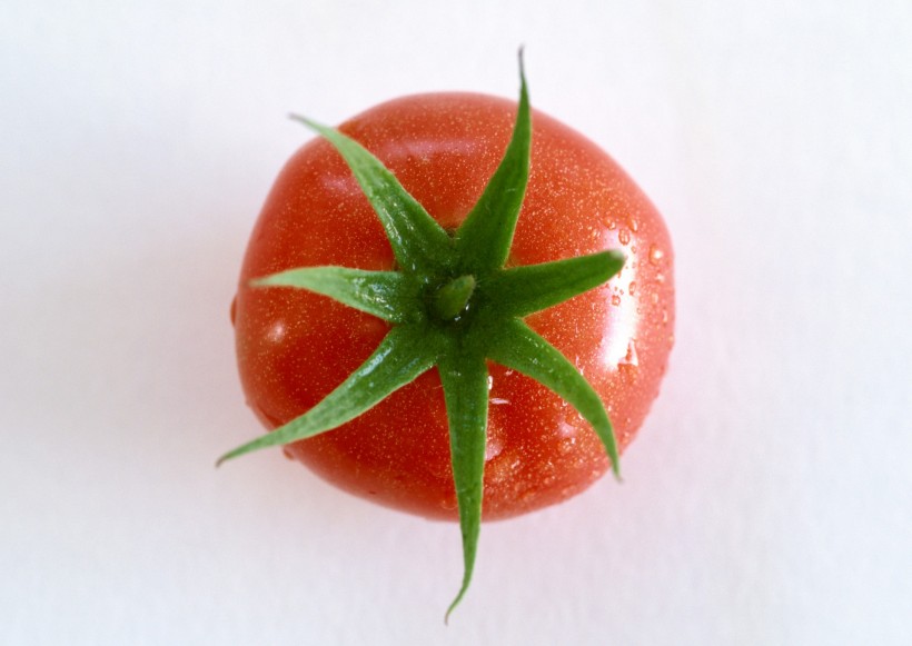 新鲜西红柿图片(25张)