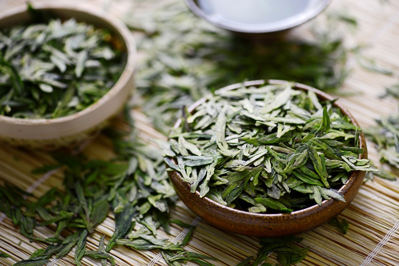 新鲜的茶叶嫩叶图片(10张)