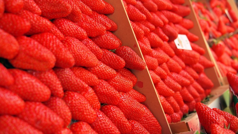 新鲜美味的草莓图片(9张)