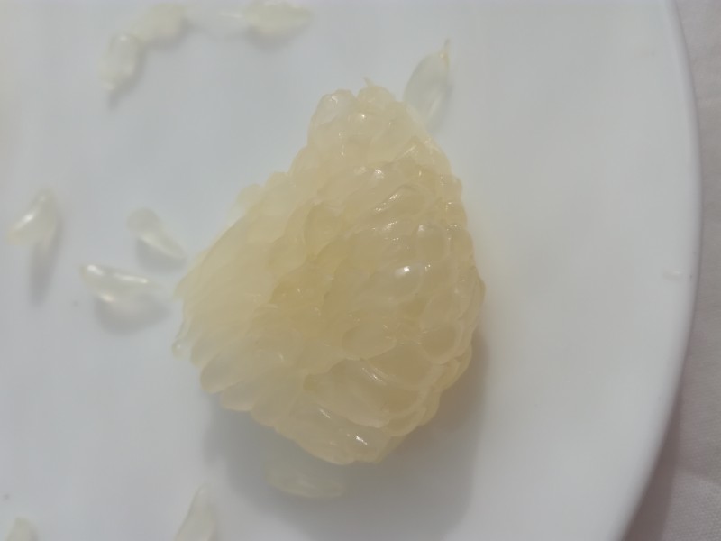 晶莹剔透的西柚图片(13张)