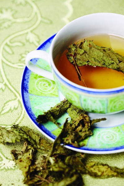 养生花草茶图片(100张)