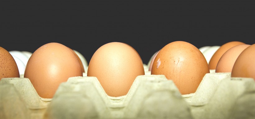 营养丰富的鸡蛋图片(14张)