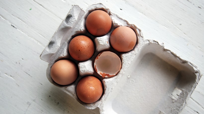 营养丰富的鸡蛋图片(14张)
