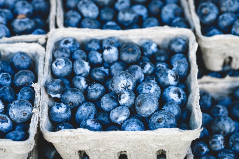 圆溜溜的蓝莓图片(10张)