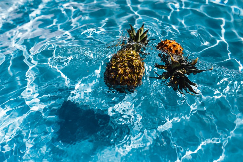 在游泳池的菠萝图片(11张)