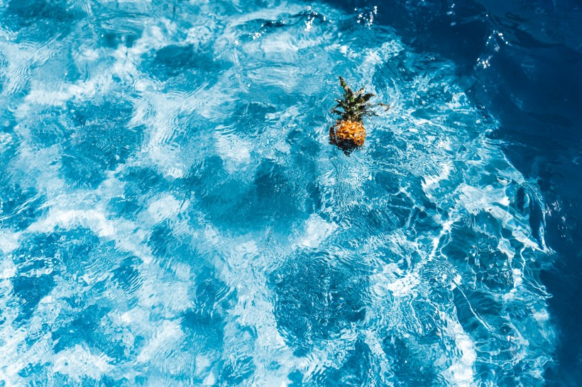 在游泳池的菠萝图片(11张)
