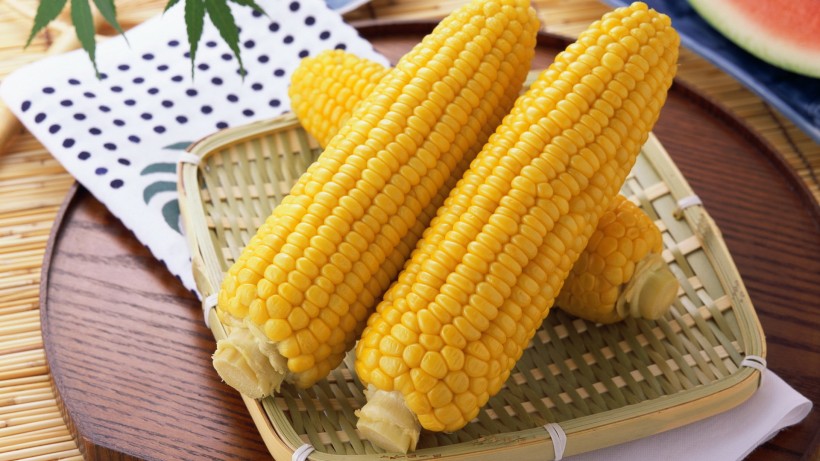 颜色各异的玉米图片(9张)