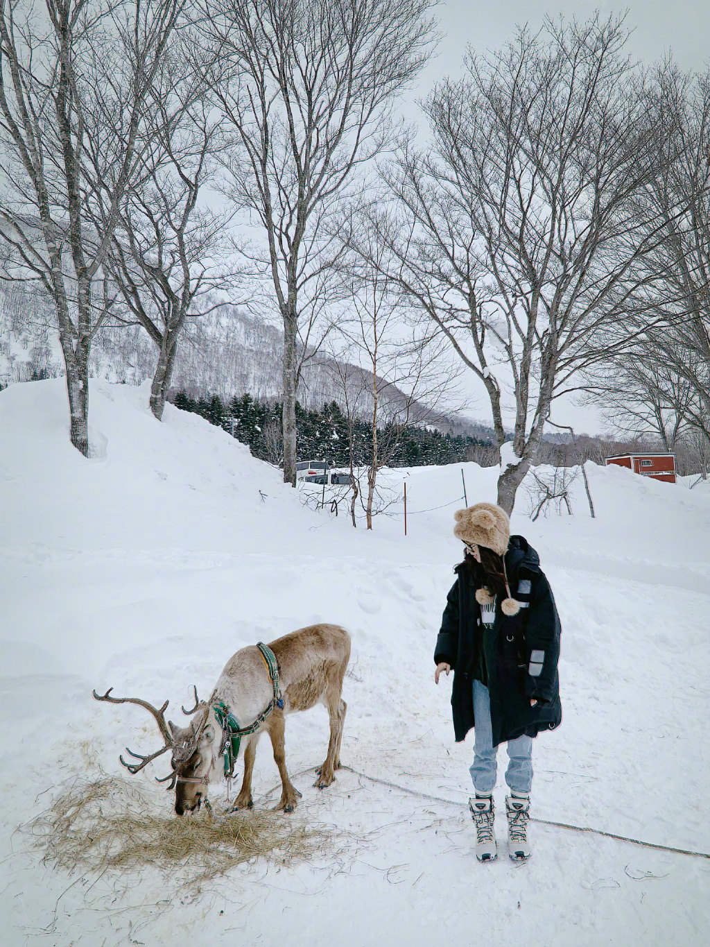 黄一琳清新俏皮雪地写真图片