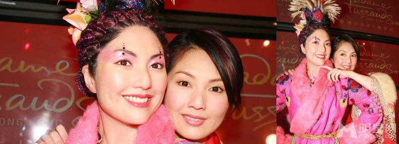 大S刘亦菲 盘点那些和明星差很大的真人蜡像