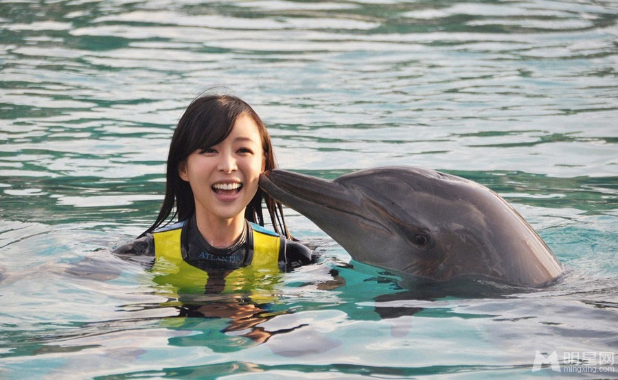 张静初迪拜与海豚水中亲吻