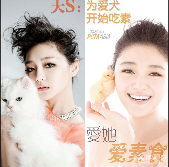 大S高圆圆 华人女星为动物全裸代言大盘点