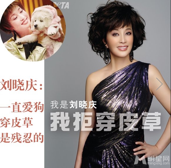 大S高圆圆 华人女星为动物全裸代言大盘点
