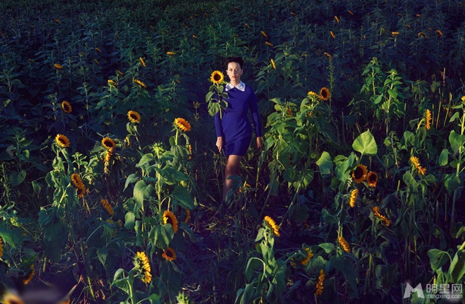 凯蒂·佩里花海写真 蝴蝶环绕唯美梦幻