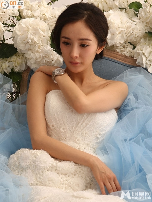 马年欲结婚女星婚纱PK 最美新娘花落谁家