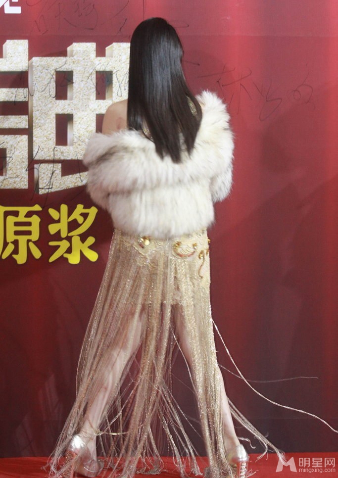 2013年国剧盛典红毯 众女星抛胸露乳性感来袭