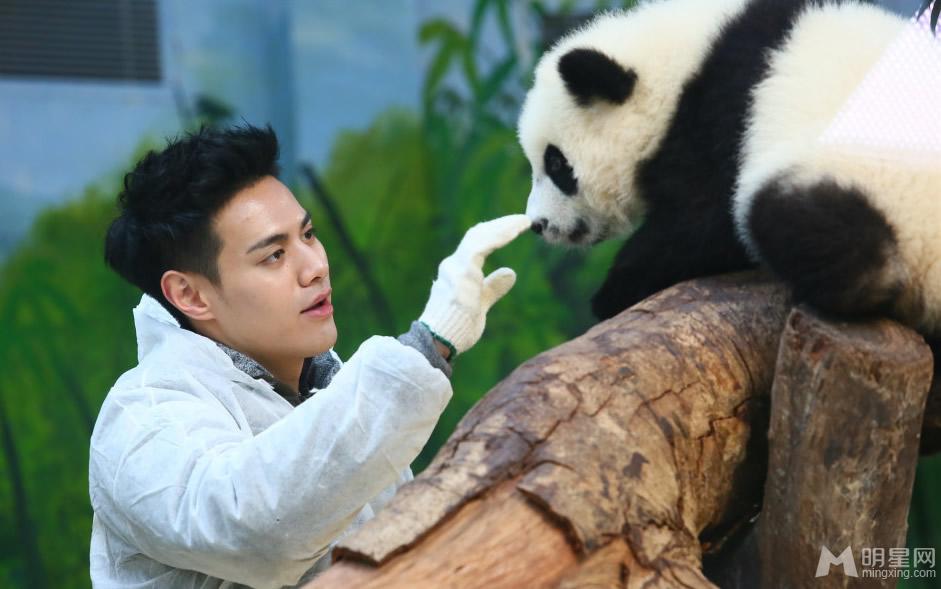 李宇春和熊猫比萌 奇妙的朋友图集
