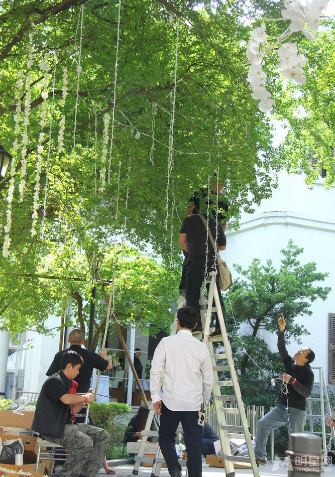 张震岳庄雯如婚礼现场布置曝光 水晶吊饰唯美