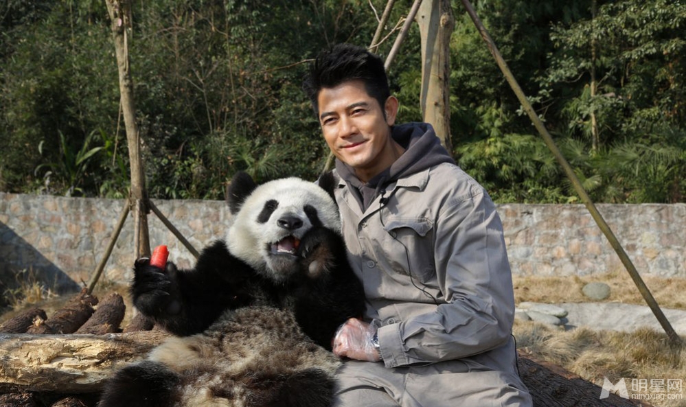 郭富城刘嘉玲探访大熊猫 亲密互动做慈善