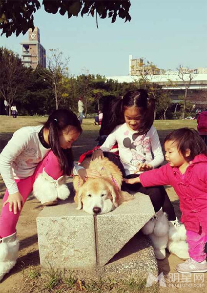 星二代容貌大PK 基因真的很重要