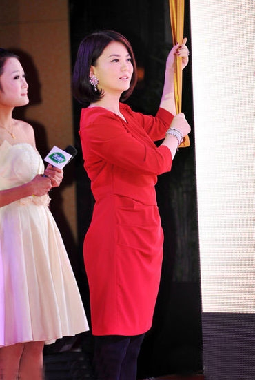 李湘红裙捞金显气质 暗示想生“二胎”