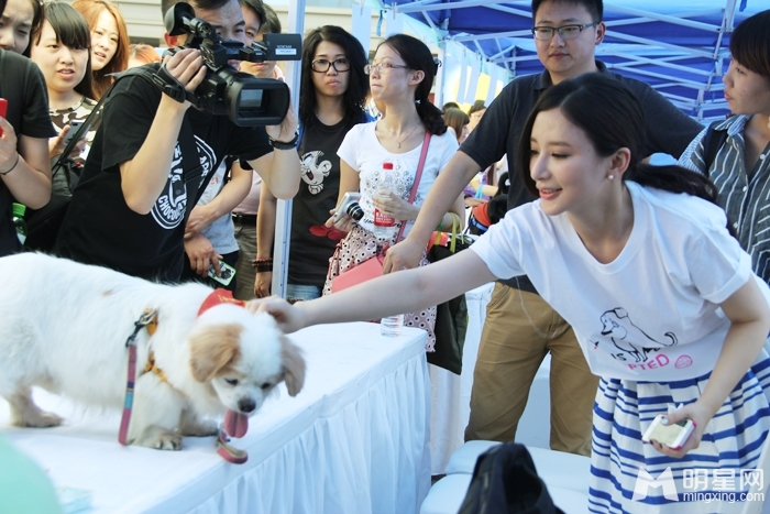 杨幂惨封圆月弯刀 图揭那些侧脸残女星