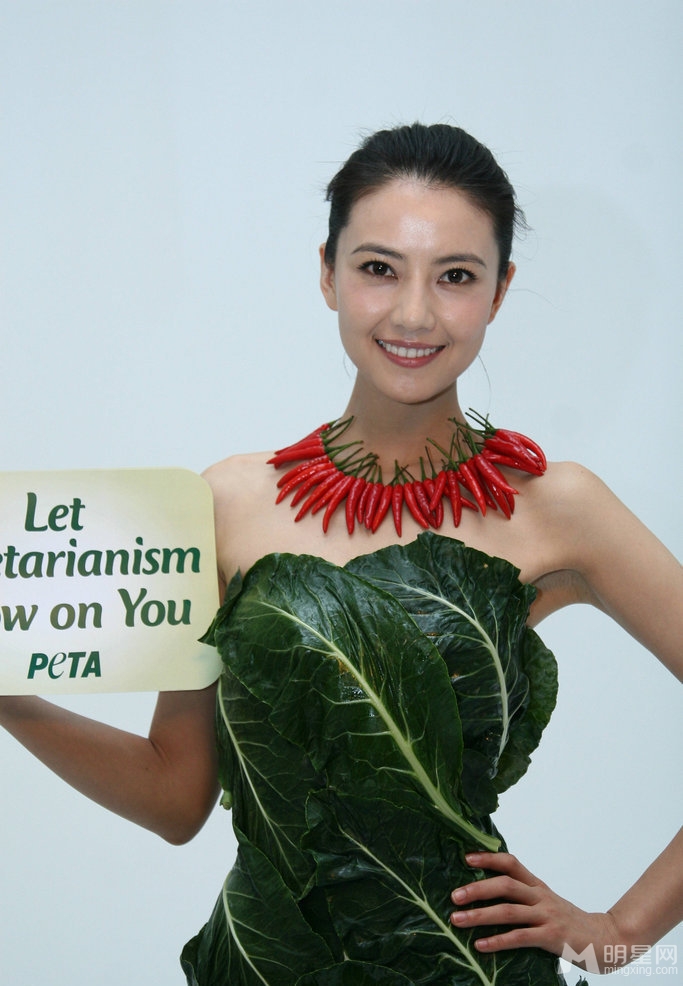 高圆圆苏梓玲 图揭果蔬穿上身的时髦装扮
