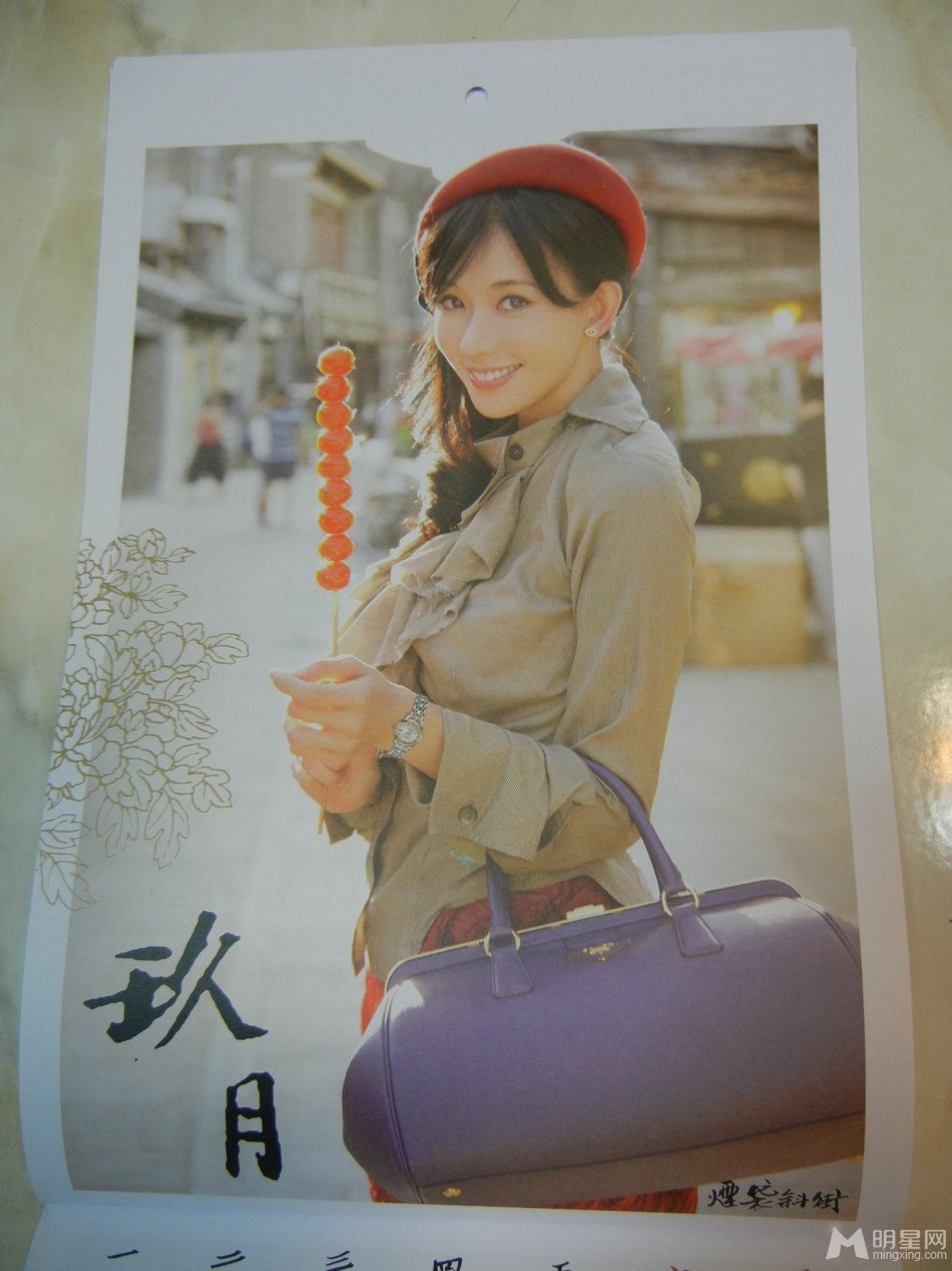 林志玲2013年慈善月历性感写真