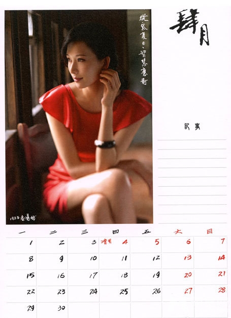 林志玲2013年慈善月历性感写真