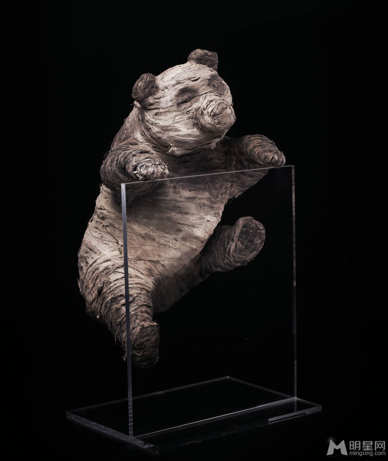 周迅黄晓明携众星拍公益写真 为大熊猫筹款