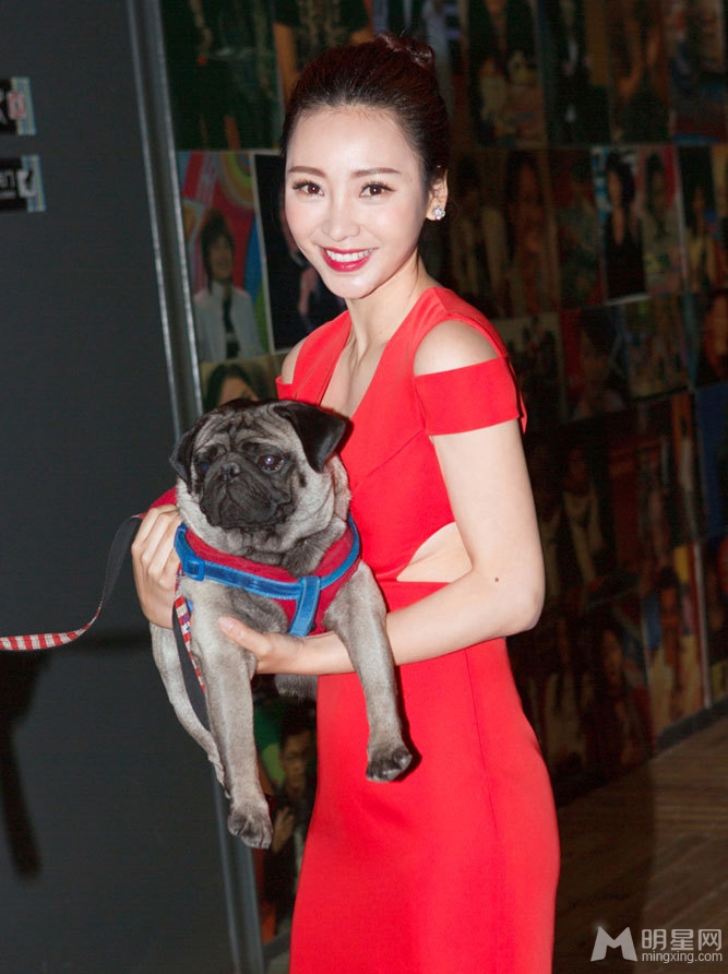 柳岩性感红裙秀酥胸 怀抱八哥犬显亲昵