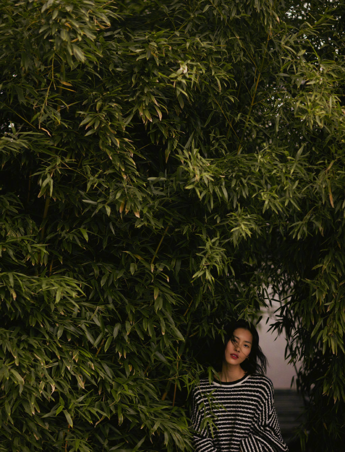 刘雯秋日温暖意境写真图片