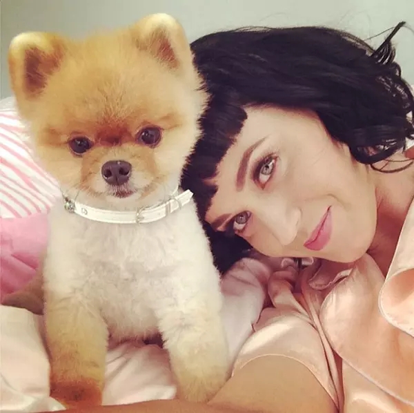 katy perry凯蒂 佩里杂志写真图片