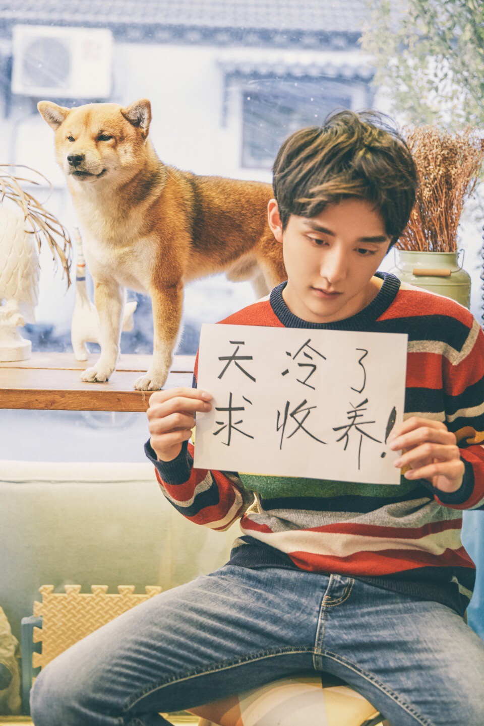 张新成清新暖萌写真图片